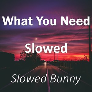 What You Need Slowed (Remix|Explicit)