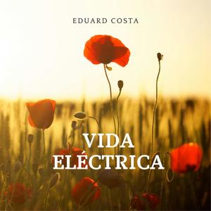 Vida eléctrica