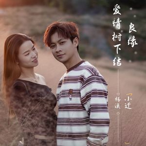 爱情树下结良缘