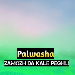 Zamozh Da Kale Peghli