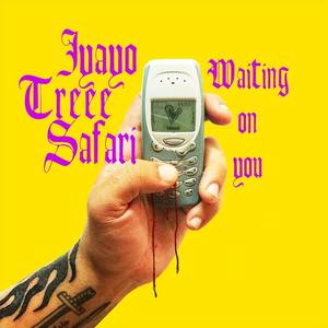 Waiting on You (feat. Treee Safari)