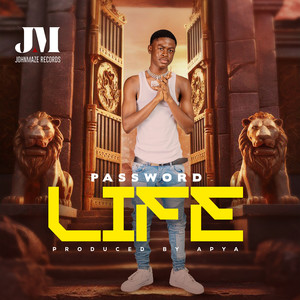 Life (Explicit)