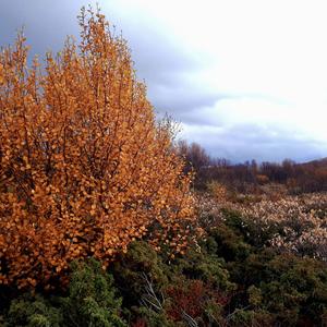 Oddrun Eikli - Angels (feat. Yann Kiefer)