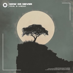 Now or Never