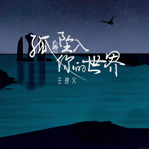 孤身坠入你的世界-王理文