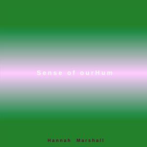 Sense of ourHum