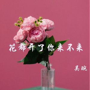 花都开了你来不来