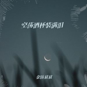 空荡酒杯装满泪 (深情版)