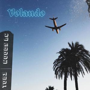 Volando (feat. Woods LC) [Explicit]