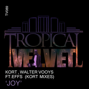 Joy (KORT Mixes)