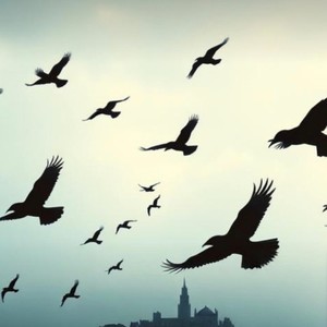 Open-the-lock (Explicit)