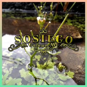 Sosiego