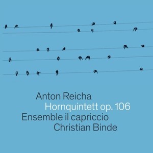 Allegro ma non troppo