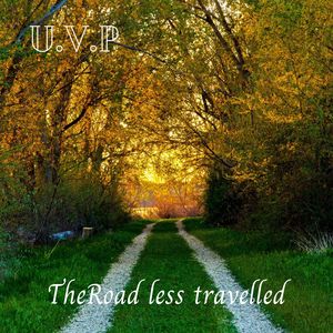 The Road Less Travelled