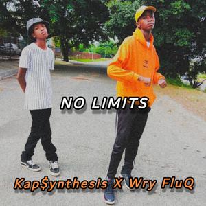 No Limit (feat. Wry FluQ) [Explicit]