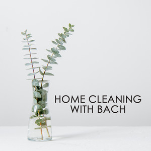 Home Cleaning With Bach