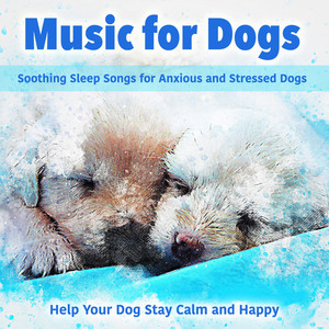 Music for Dogs: Soothing Sleep Songs for Anxious and Stressed Dogs - Help Your Dog Stay Calm and