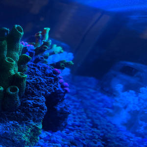 My aunt's arms Mamas heart