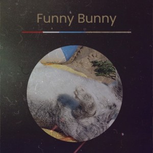 Funny Bunny