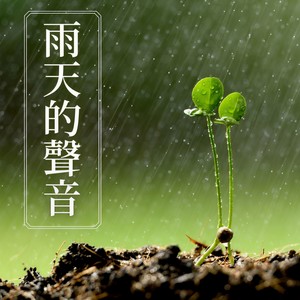 雨天的聲音: 雨聲, 在家放鬆學習和讀書, 安靜的輕音樂為了看書