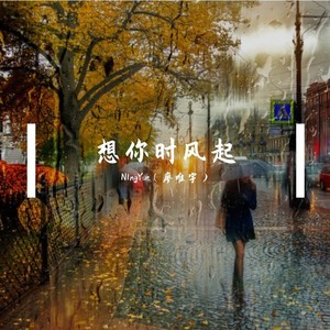 想你时风起 - N1ngYue封面