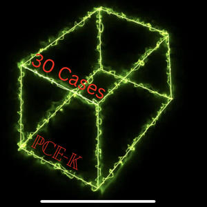 30 Cases (Explicit)
