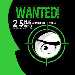 Wanted! 25 Deep Underground Beats, Vol. 4