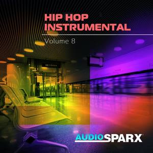 Hip Hop Instrumental Volume 8