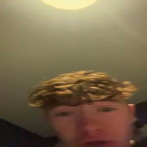 Waffle Pussy (Explicit)