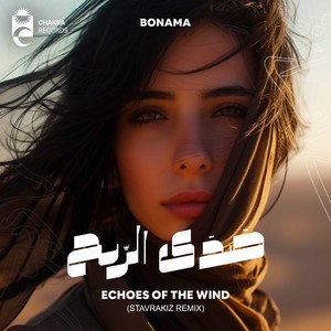 Echoes Of The Wind (Stavrakiz Remix)
