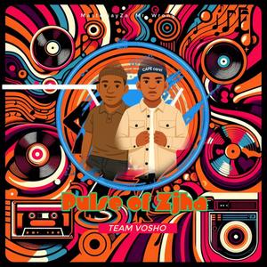 Pulse of Ziha (feat. Mr Wrong)