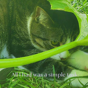 Simple Task (Explicit)