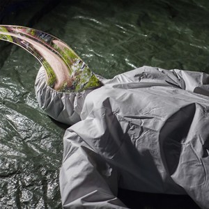 Everything I Can't Say