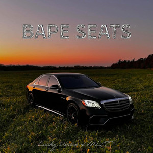 Bape Seats (Explicit)