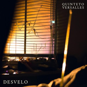 Desvelo