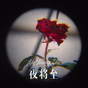 深化危机 (Remix)