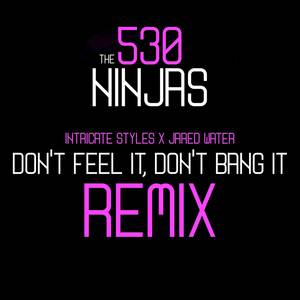 Don't Feel It, Don't Bang It (Remix)