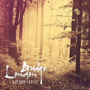 가을숲 (Autumn Forest)