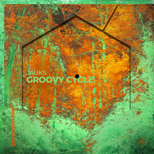 Groovy Cycle (Extended Mix)