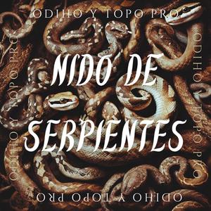 Nido de serpientes (feat. Haterbeats) [Explicit]