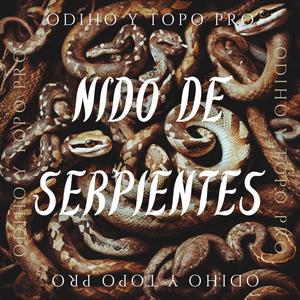 Nido de serpientes (feat. Haterbeats) (Explicit)