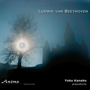 Yoko Kaneko - Piano Sonata No. 13 in E-Flat Major, Op. 27 No. 1 