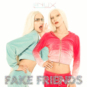 Fake Friends (Explicit)