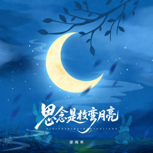 思念是枚弯月亮