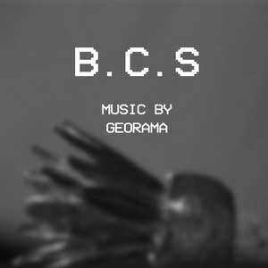 B.C.S