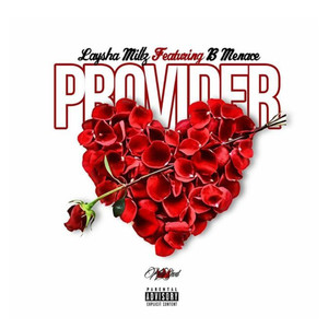 Provider (Explicit)