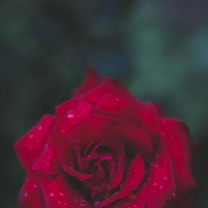 Love Cage V3 (IdanOnDaBeat Remix)