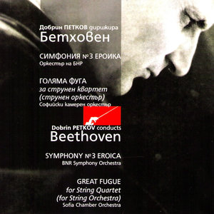 Symphony No. 3 in E-Flat Major, Op. 55, Eroica - IV. Finale - Allegro molto