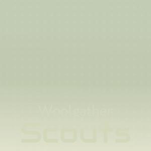 Woolgather Scouts