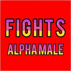 Fights
